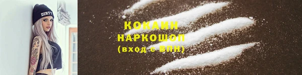 ешки Алексин