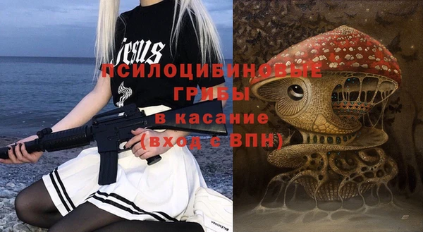 ешки Алексин