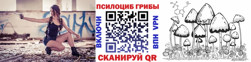 Галлюциногенные грибы MAGIC MUSHROOMS  мориарти телеграм  Алзамай 